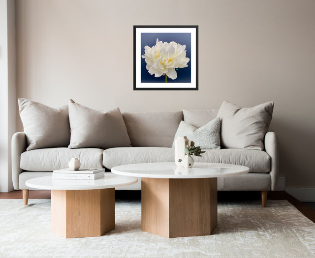 "40 Love" White Peony