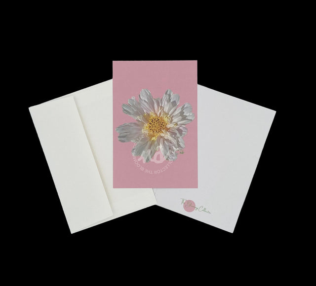 "Blush Bliss" Cosmo Notecards – Box of 8 with Envelopes