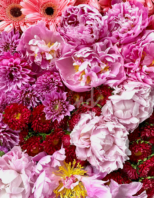 "Friends Forever" Pink Peonies