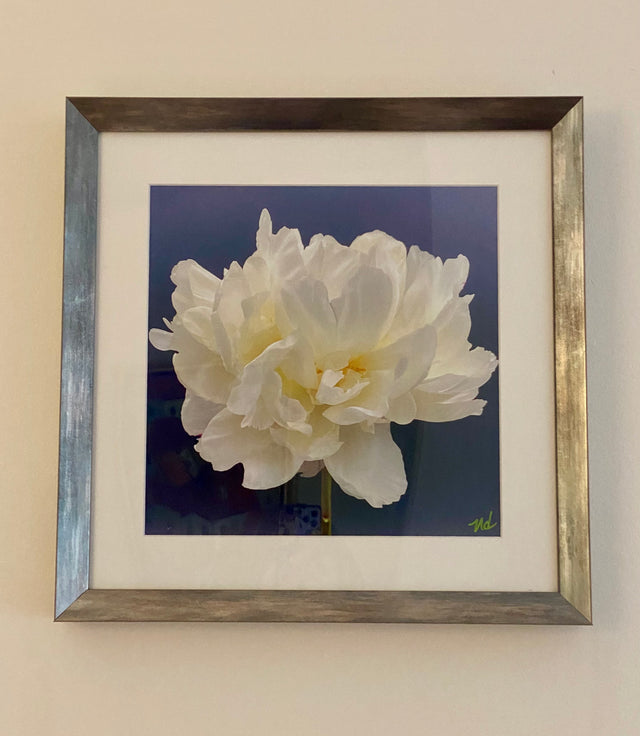 "40 Love" White Peony