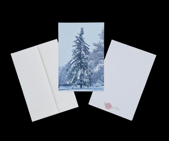 "It's Winter Time in Colorado" Notecards – Box of 8 with Envelopes