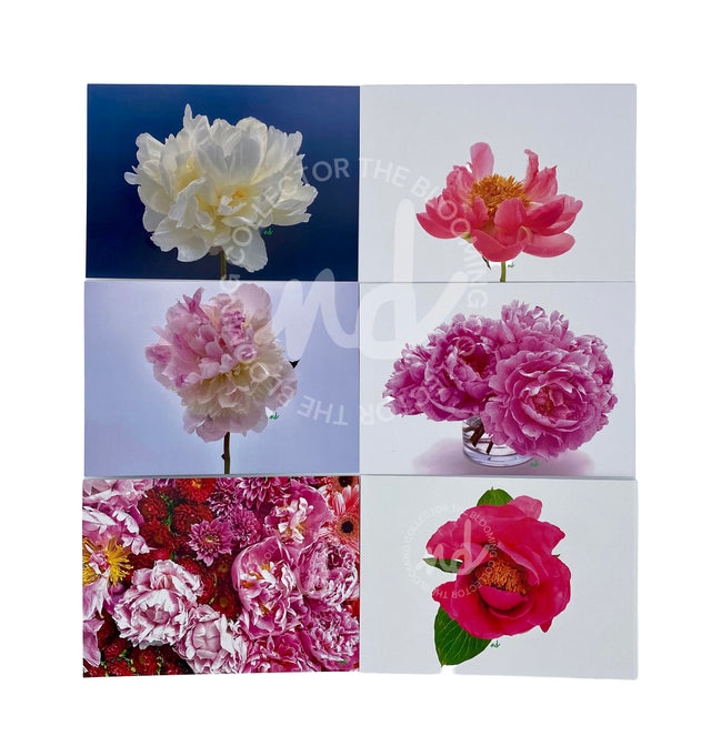 The Blooming Collector Cards- Box of 8 Mixed Cards