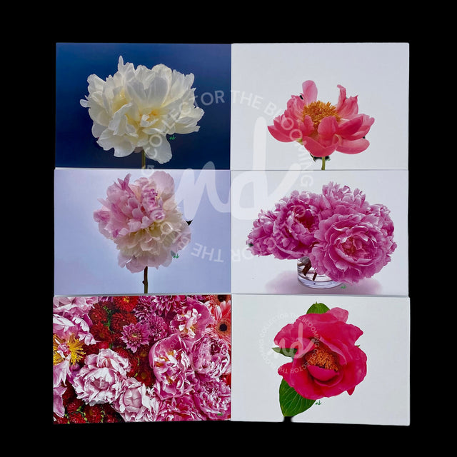 Box of 8 Mixed Floral Greeting Cards, 5x7, Blank Inside