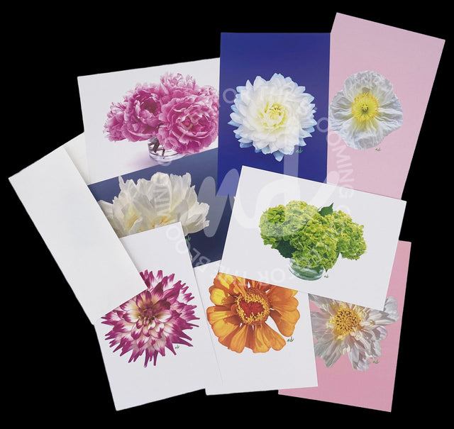 "The Blooming Collector"  Notecards – Box of 8 Mixed Notecards with Envelopes