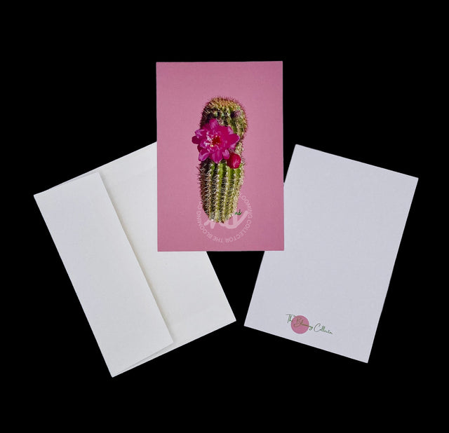 "Sassy Succulent" Cactus Notecards – Box of 8 with Envelopes