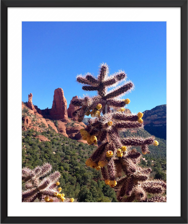 "Scene in Sedona" Desert Collection-Other