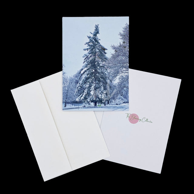 "Wintertime in Colorado" Folded Cards – Box of 8 with Envelopes