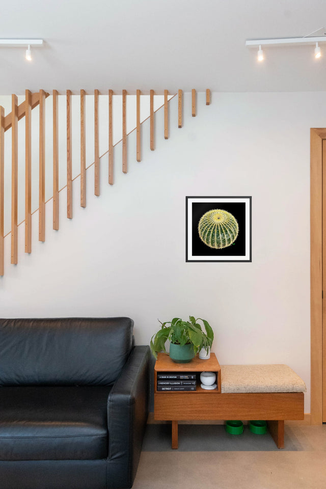"Barrel Cactus" Southwest Botanical Art Print