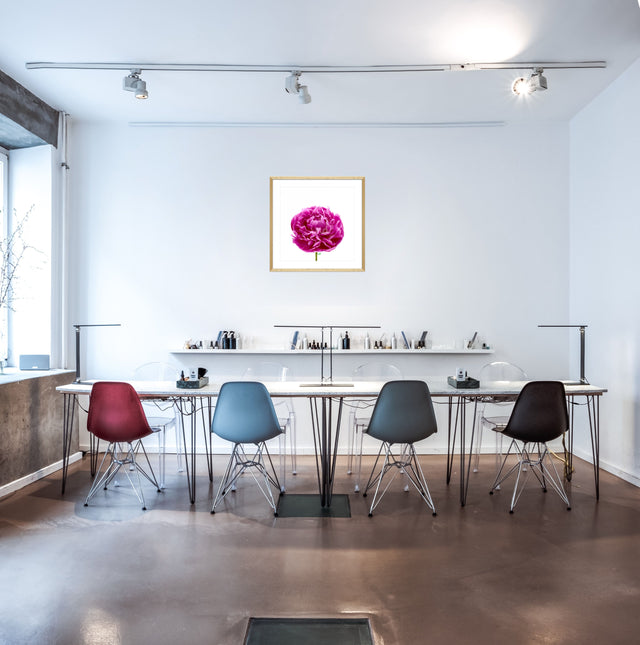 "Big Time Berry" Pink Peony