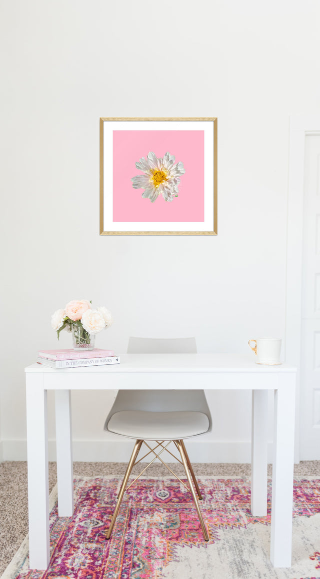 "Blush Bliss" White Cosmo