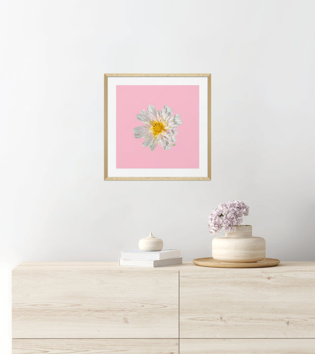 "Blush Bliss" White Cosmo