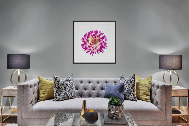 "Born to be a Star" Purple Dahlia