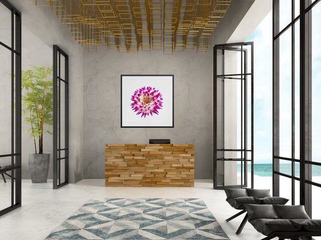 "Born to be a Star" Purple Dahlia