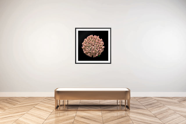"Botanic Burst" Pink Polyanthum