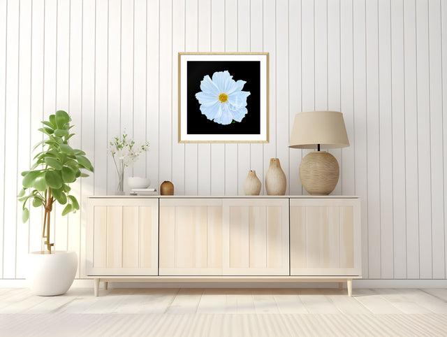 "Cameo Cosmo" White Cosmo