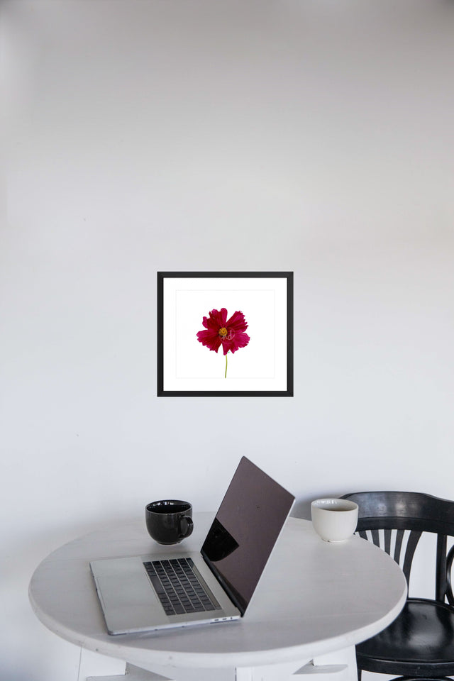 "Classy Cosmo" Wine-Colored Cosmo