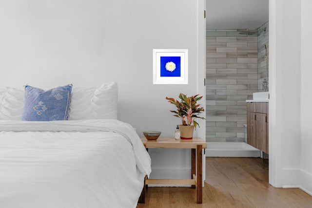 "Dahlia Darling" White Dahlia