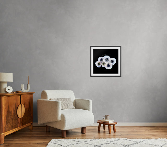 "Eyes on You Baby" White Anemones Floral Print