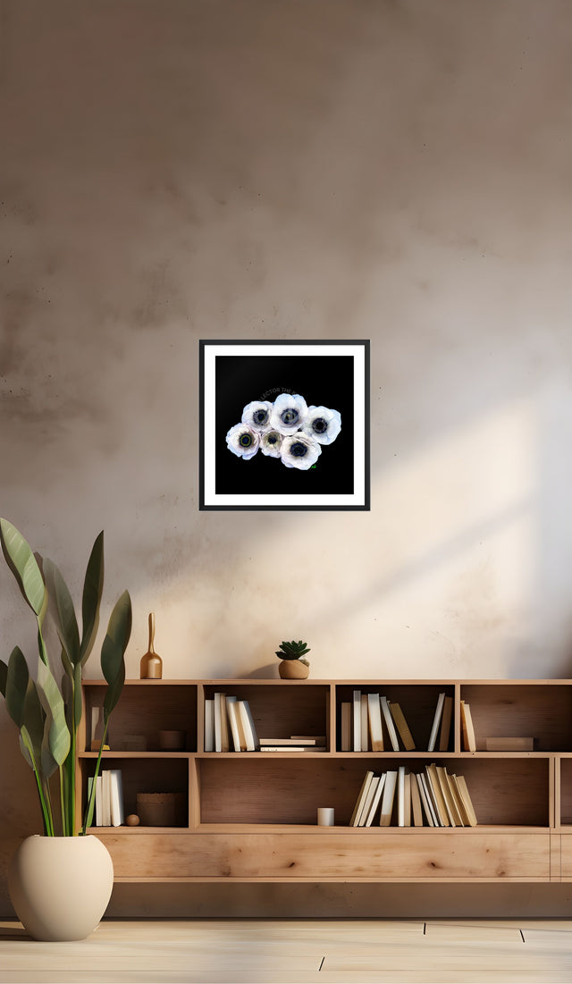 "Eyes on You Baby" White Anemones Floral Print