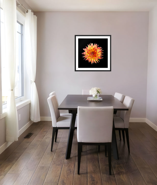 "Fiery Dahlia" Orange and Yellow Dahlia