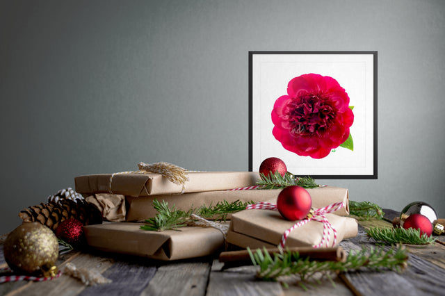 "Hearts on Fire" Red Peony