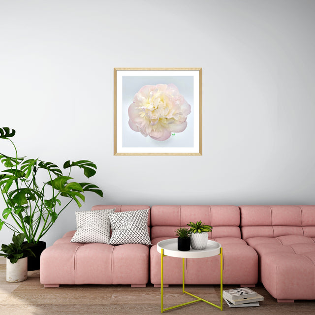 "Hearty Hope" Pink Peony