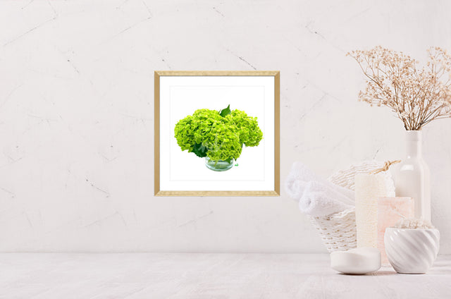"Luscious Lime" Green Hydrangea Art Print