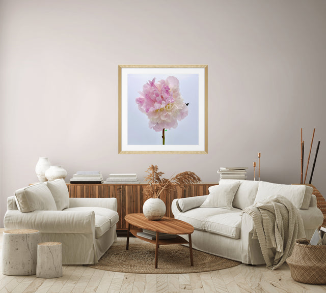 "Make Me Blush" Pink Peony