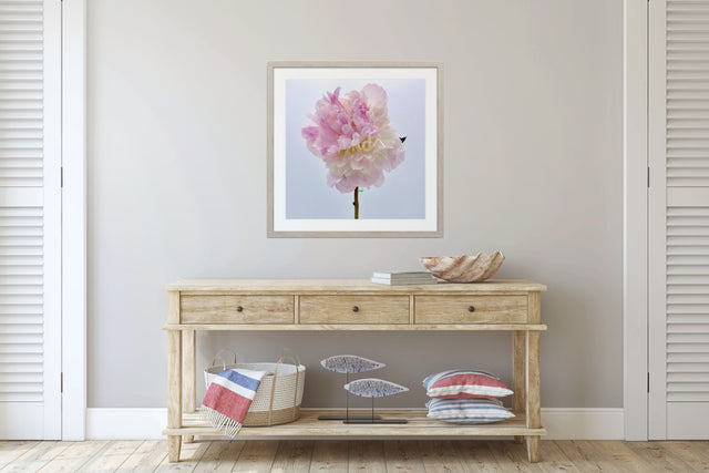 "Make Me Blush" Pink Peony
