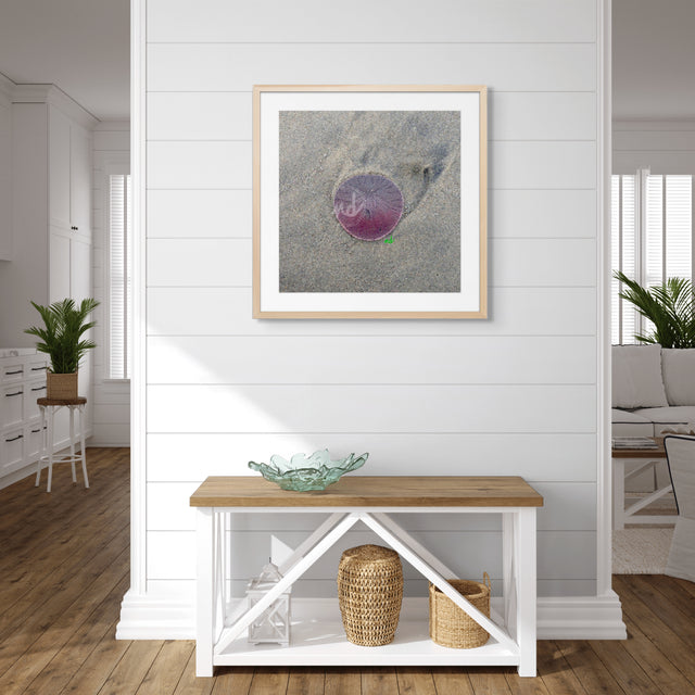 "Morning Drift" Coastal Collection