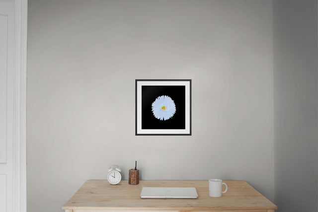 "Oh My Cosmo" White Cosmo