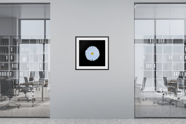 "Oh My Cosmo" White Cosmo