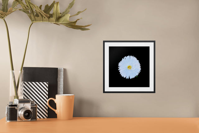 "Oh My Cosmo" White Cosmo