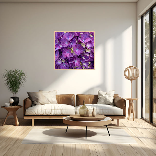"Petal Deep" Purple Hydrangeas