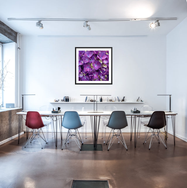 "Petal Deep" Purple Hydrangeas