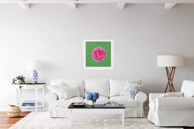 "Petal Frenzy" Pink Dahlia Floral Art Print