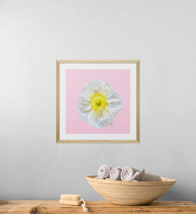 "Plush Poppy" Floral Art Print