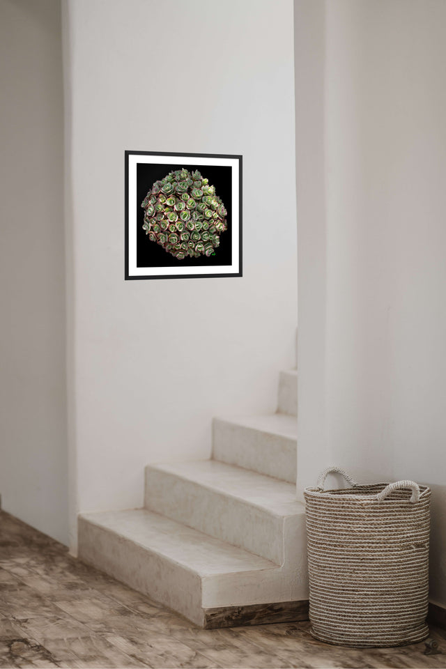 "Pop of Prep" Desert Collection