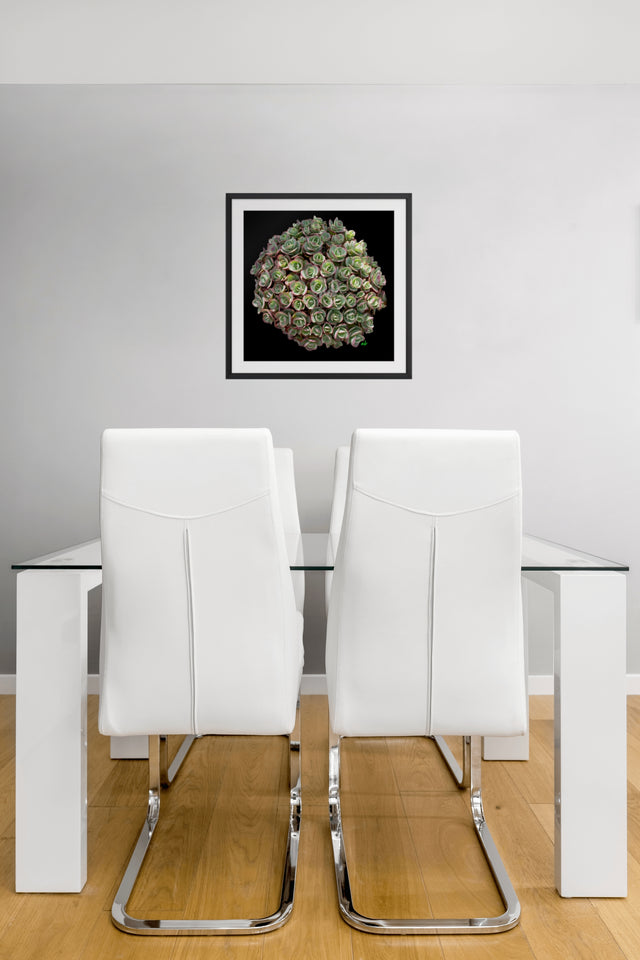 "Pop of Prep" Desert Collection