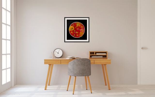 "Poppy Party" Bright Poppies