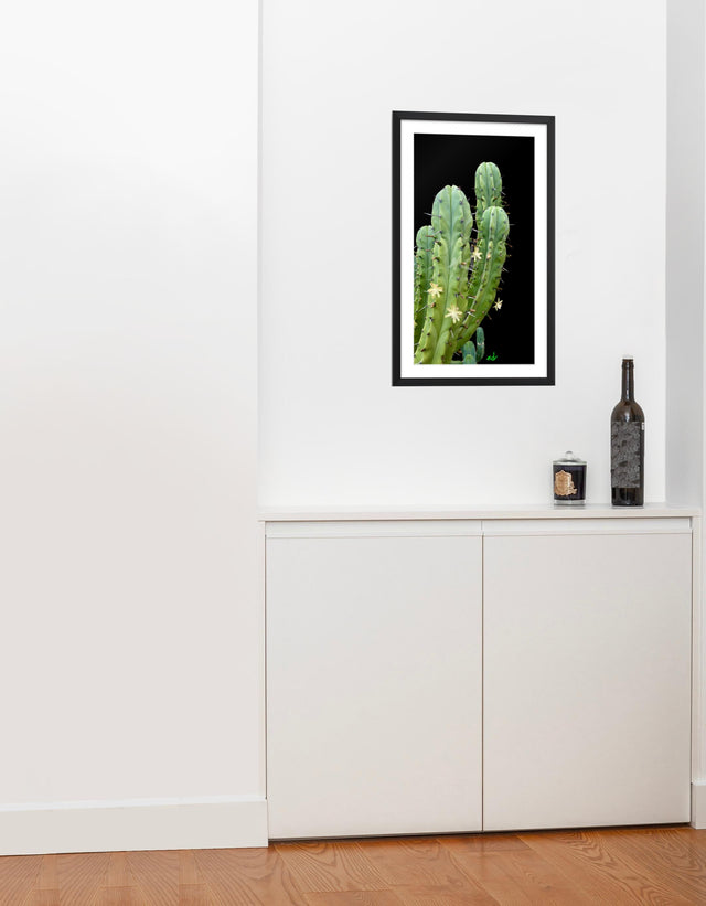 "Prickly Perfection" Desert Collection