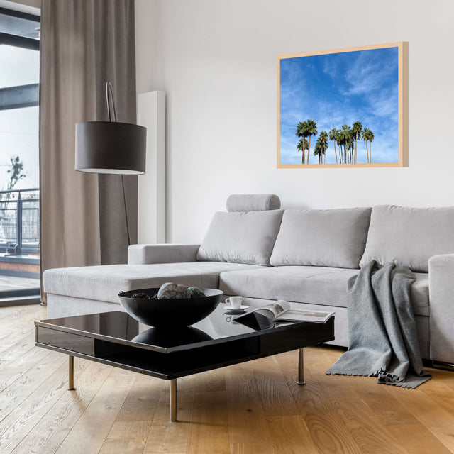 "Palms in Paradise Valley" with Blue Sky