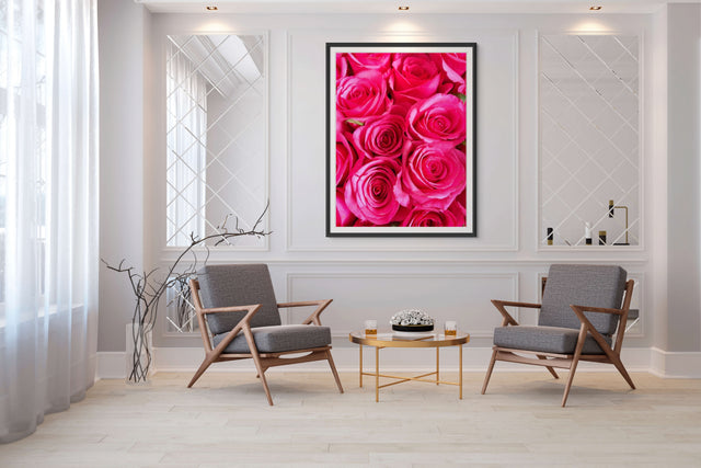 "Radiant Roses" Bright Pink Roses