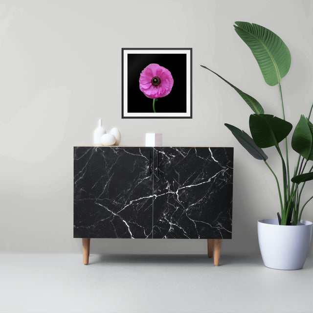 "Ranuncu Love" Pink Ranunculas