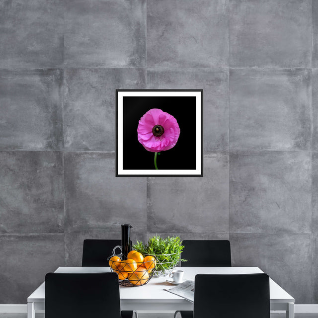"Ranuncu Love" Pink Ranunculas
