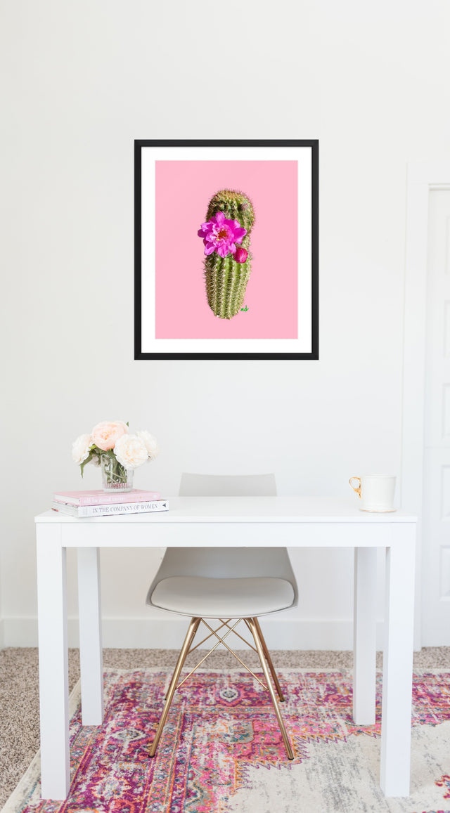 "Sassy Succulent" Desert Collection