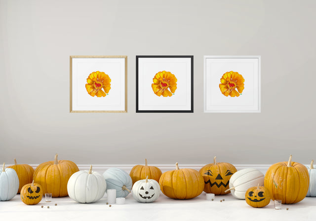 "Sassy Sunburst" Orange Zinnia Floral Art Print