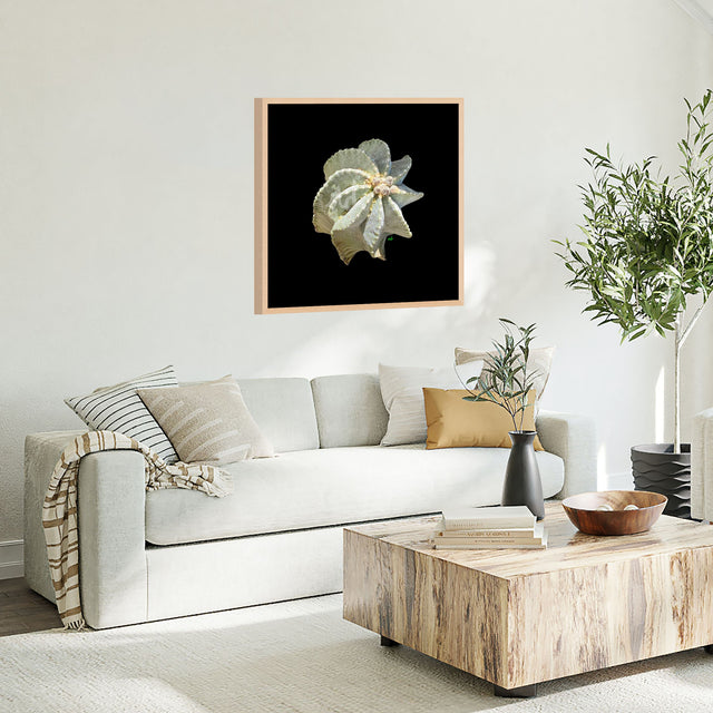 "Succulent Saint" Desert Collection