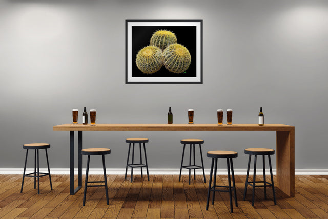 "The Barrel Brothers" Desert Collection