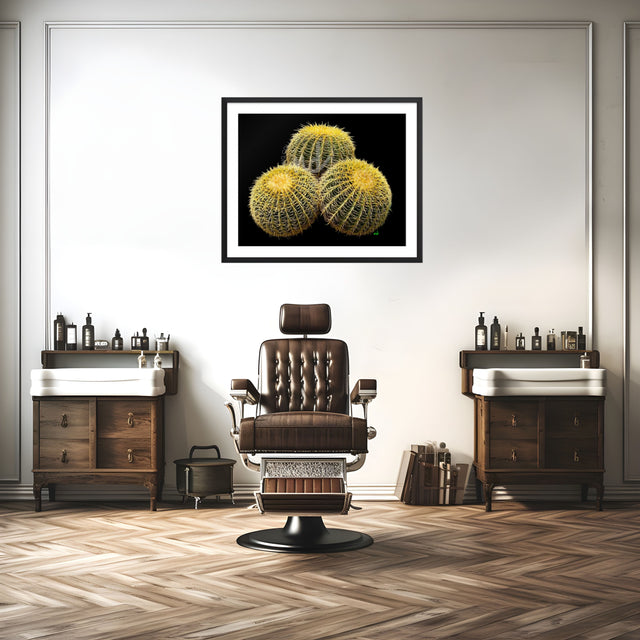 "The Barrel Brothers" Desert Collection